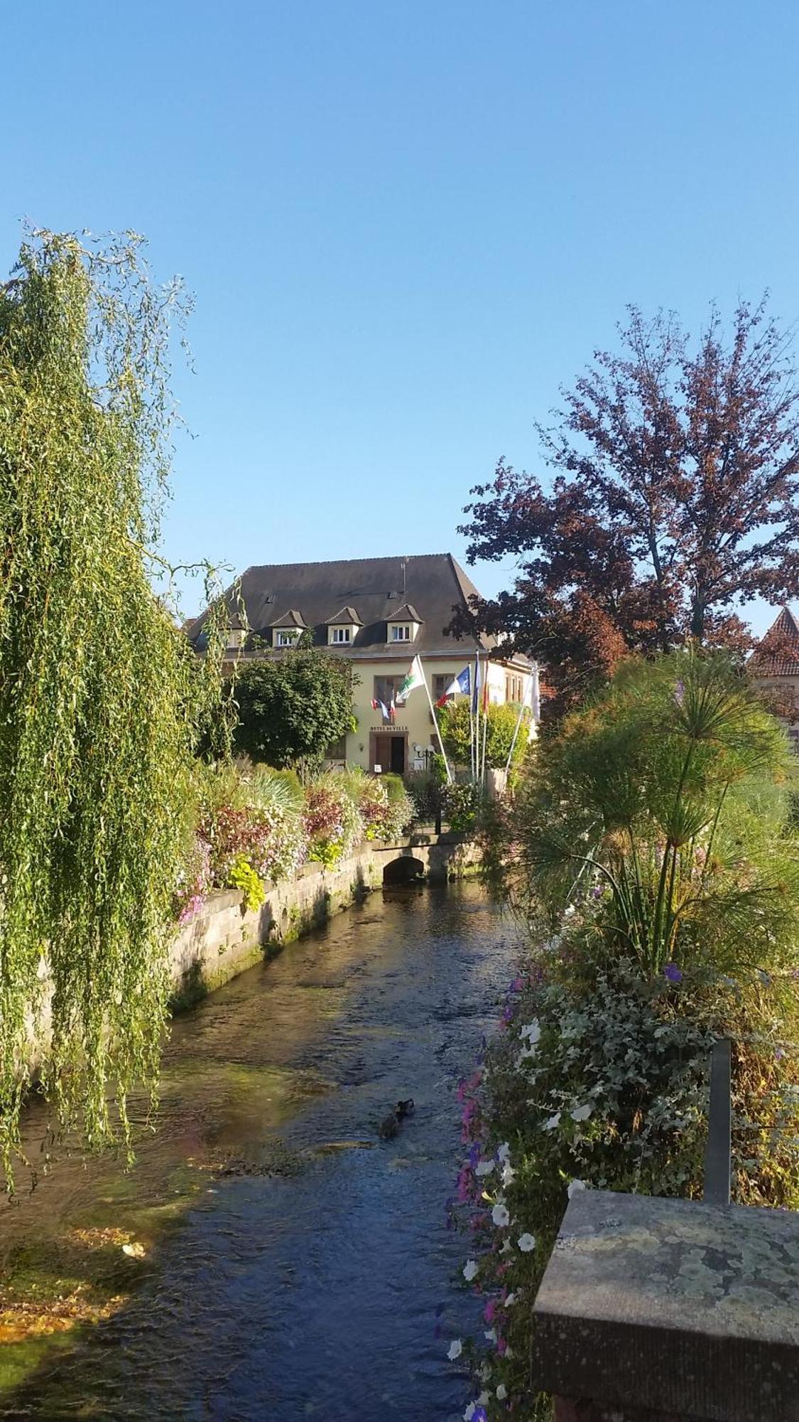 Meubles Du 25 N3 Studio 1Er Etage Niederbronn-les-Bains Exterior photo